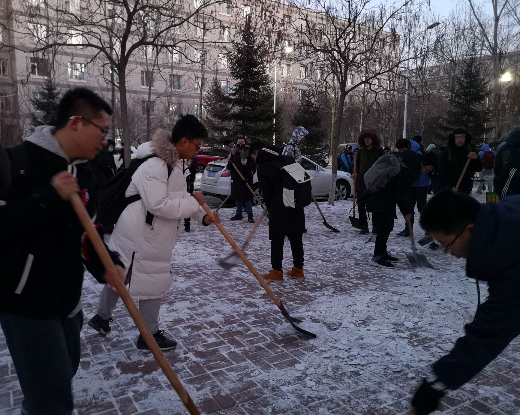 临床医学院组织学生开展扫雪活动